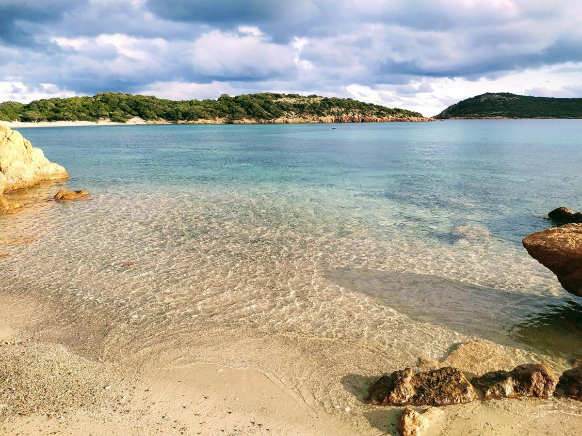 Résidence Les Terrasses de Rondinara