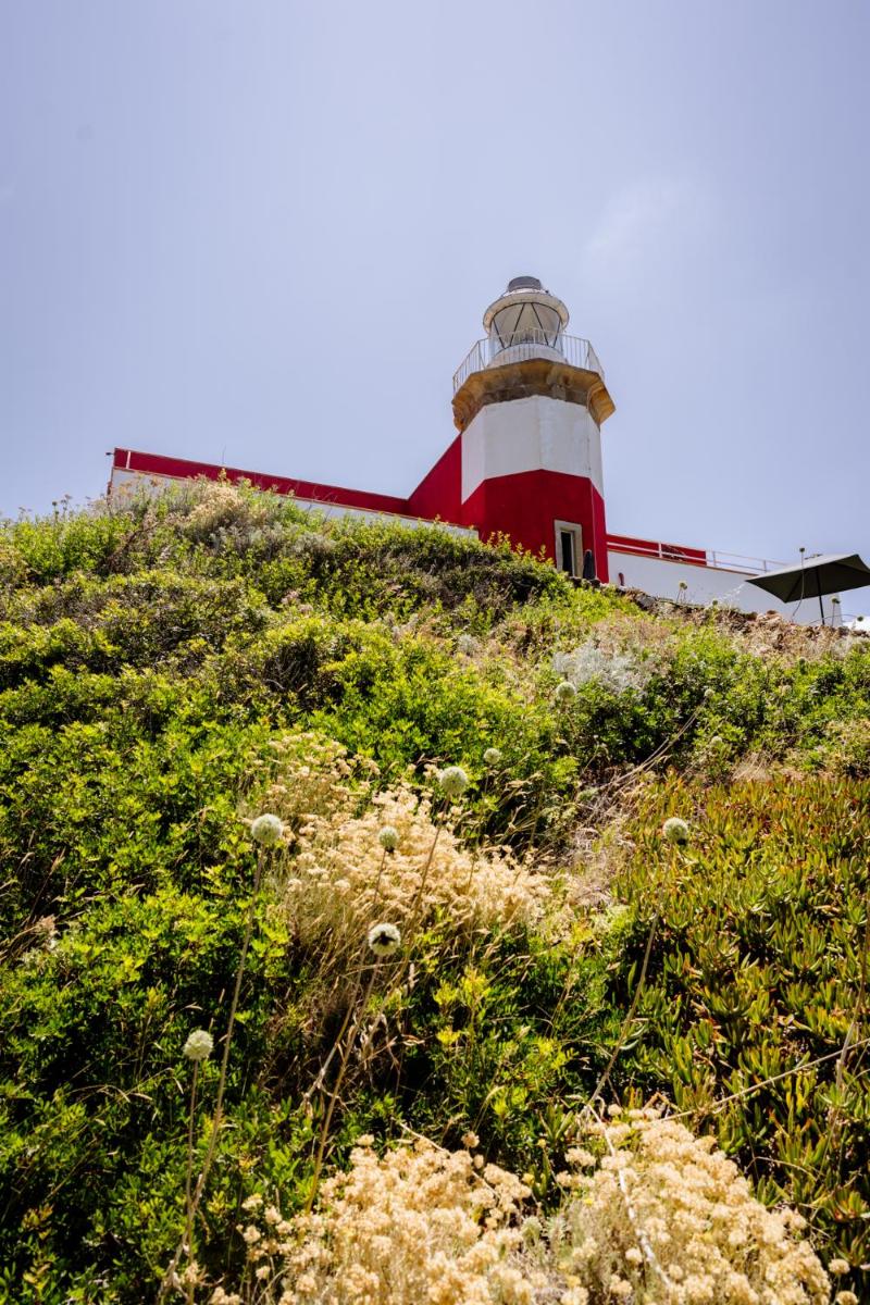 Faro di Punta Fenaio - Caletta Privata