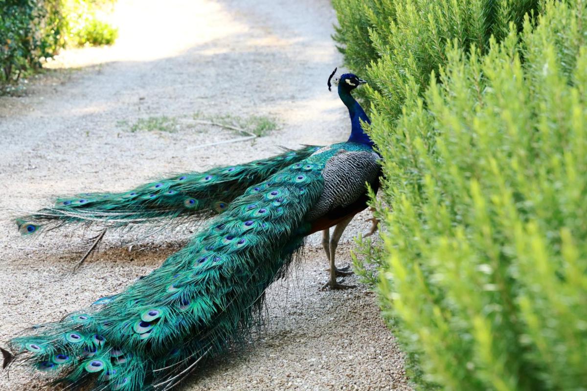 Resort Fontes Episcopi