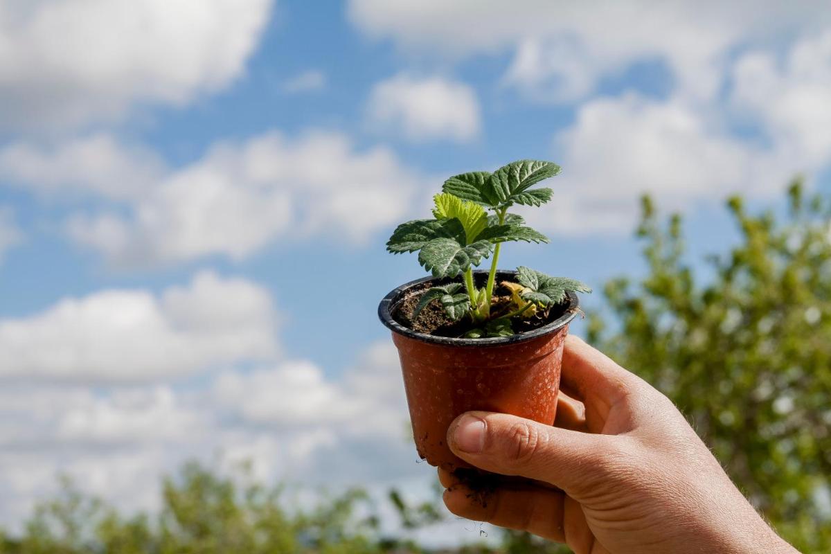 Resort Fontes Episcopi