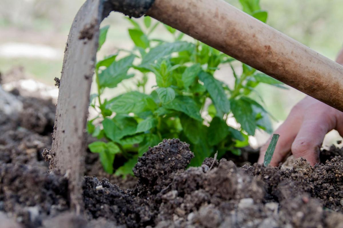 Resort Fontes Episcopi