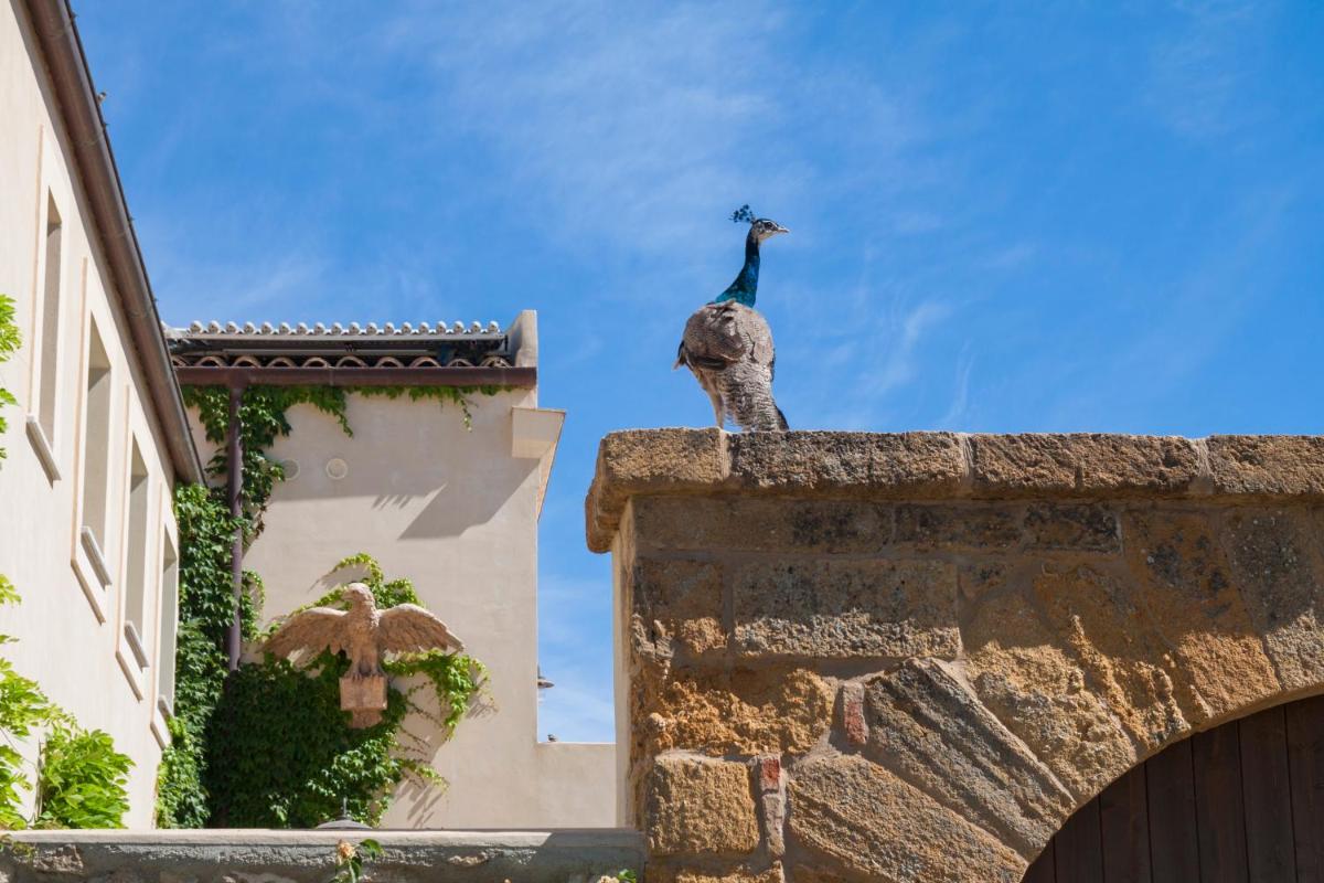 Resort Fontes Episcopi