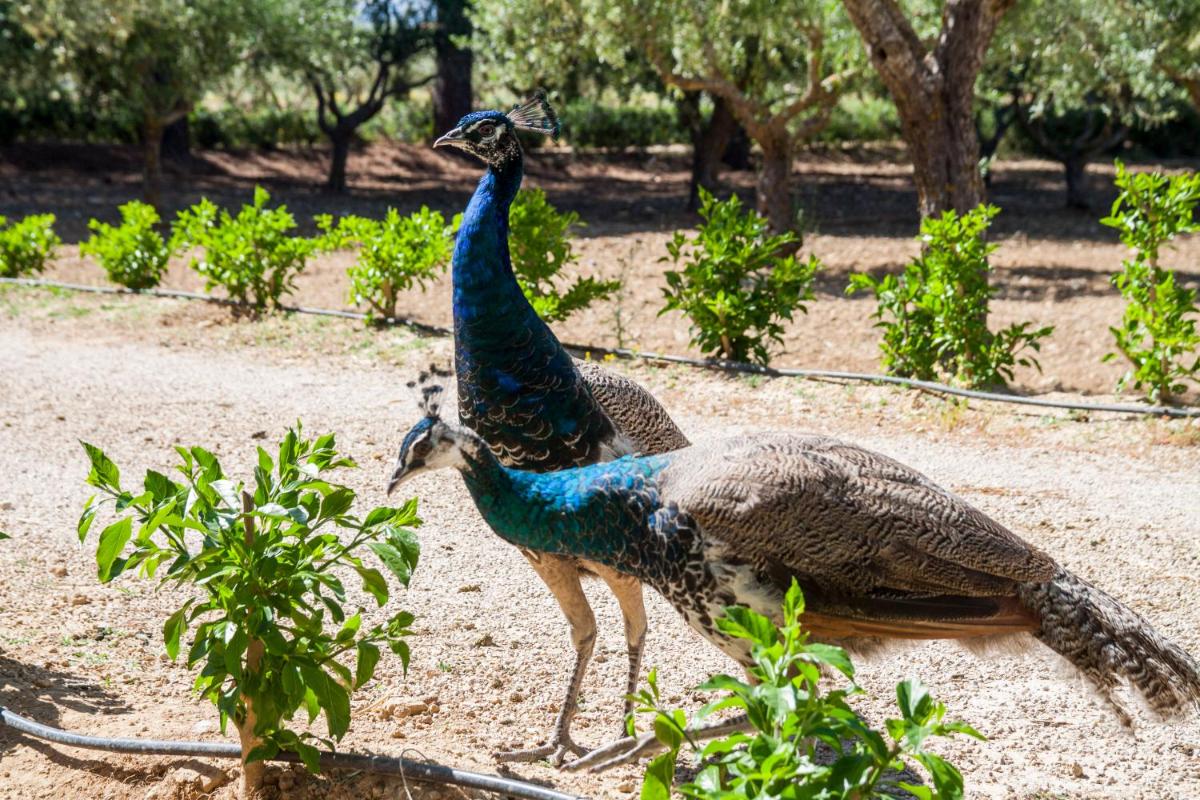 Resort Fontes Episcopi