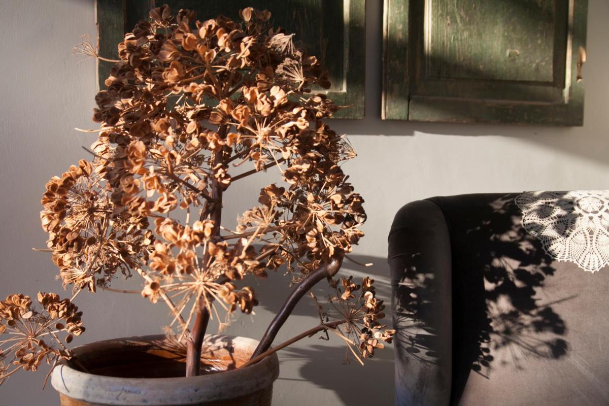 Resort Fontes Episcopi