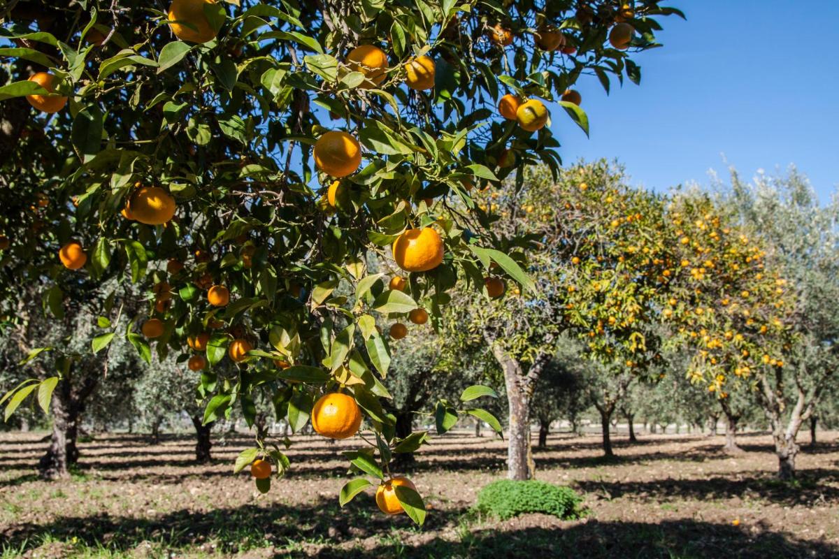 Resort Fontes Episcopi