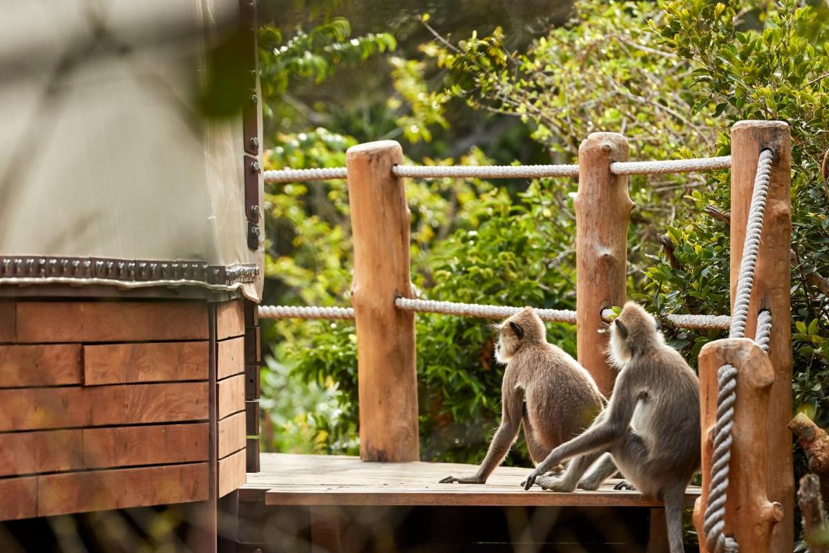 Wild Coast Tented Lodge - Relais and Chateaux - All Inclusive