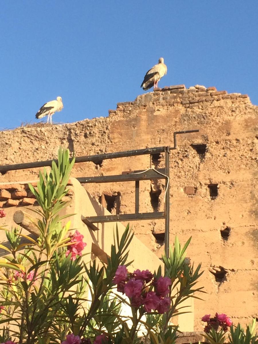 Riad Carina