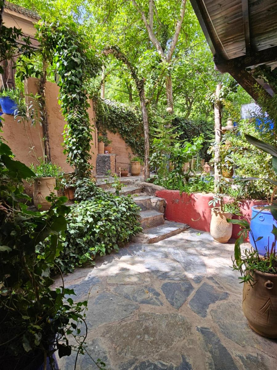 Riad Oussagou