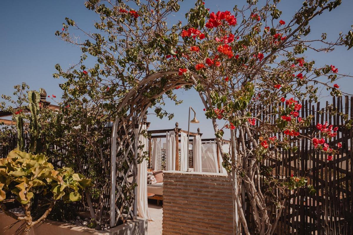 Riad Le Rihani