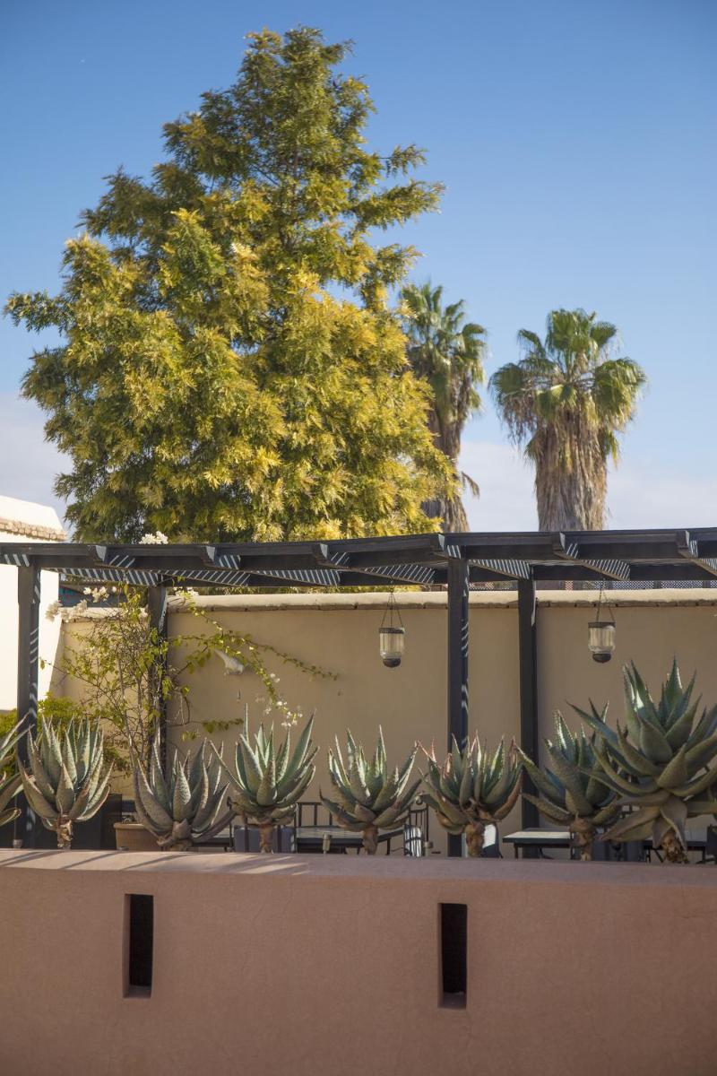 Riad Les Hirondelles Boutique Hotel and Spa