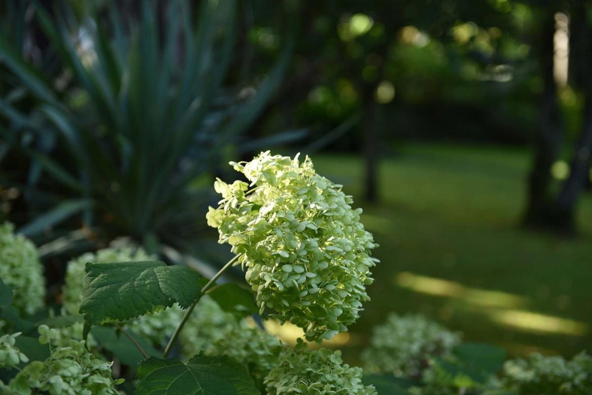 Frühmesserhaus Refugium zu Sanct Kassian