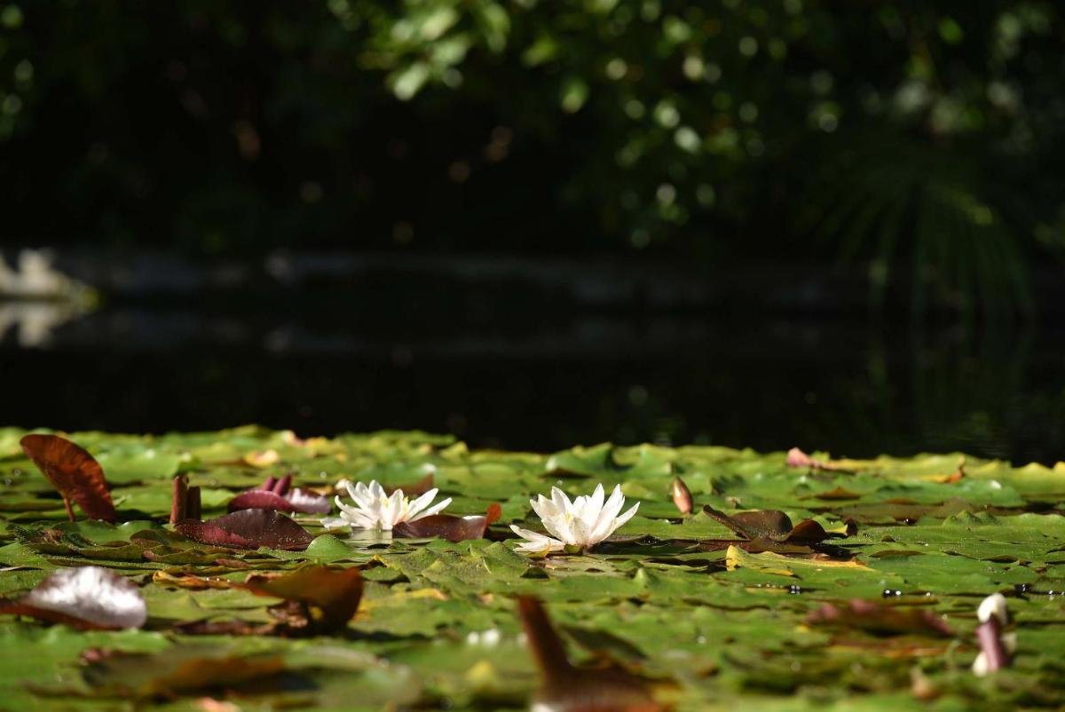 Frühmesserhaus Refugium zu Sanct Kassian