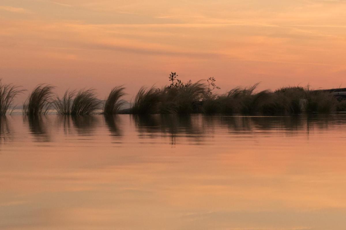 Rocabella Mykonos Hotel