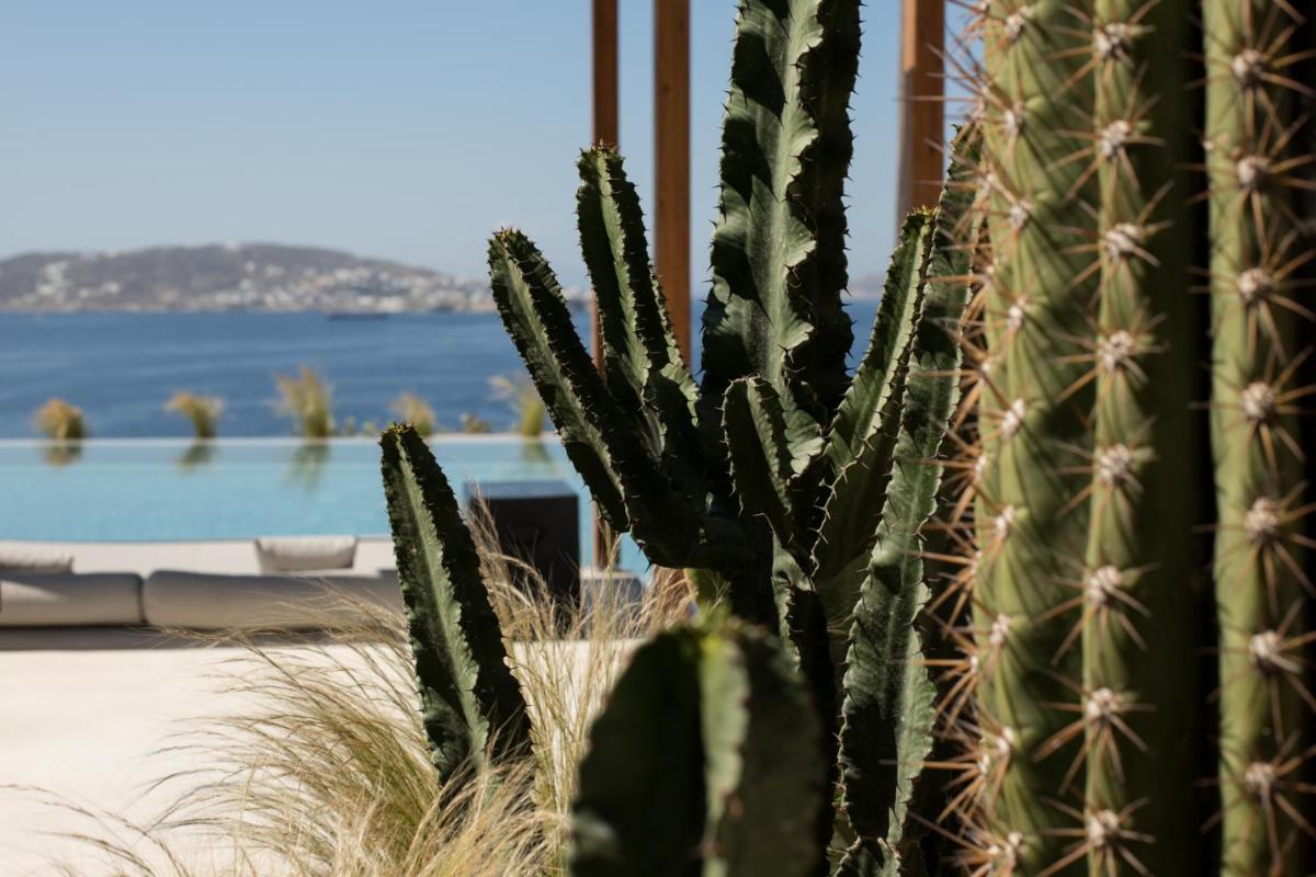Rocabella Mykonos Hotel - member of Design Hotels