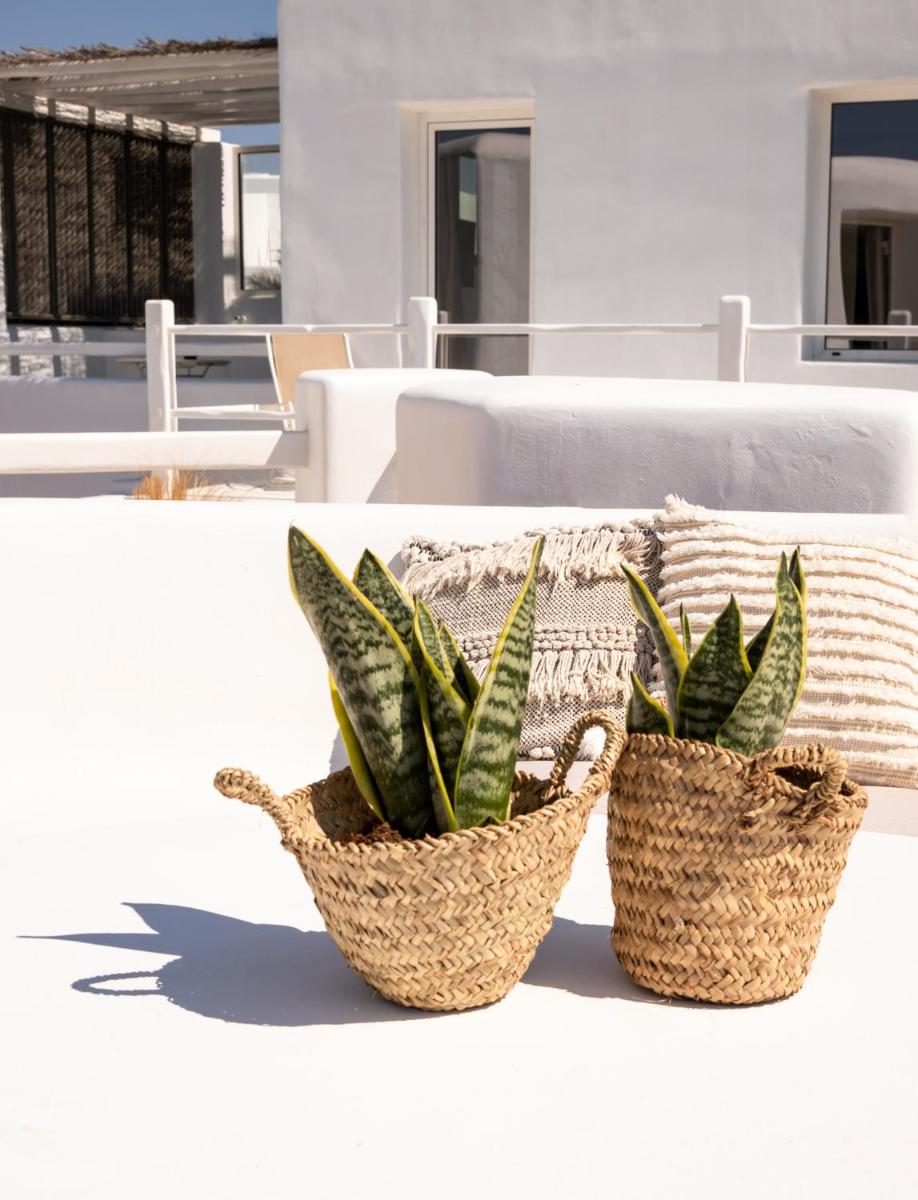 Rocabella Mykonos Hotel - member of Design Hotels