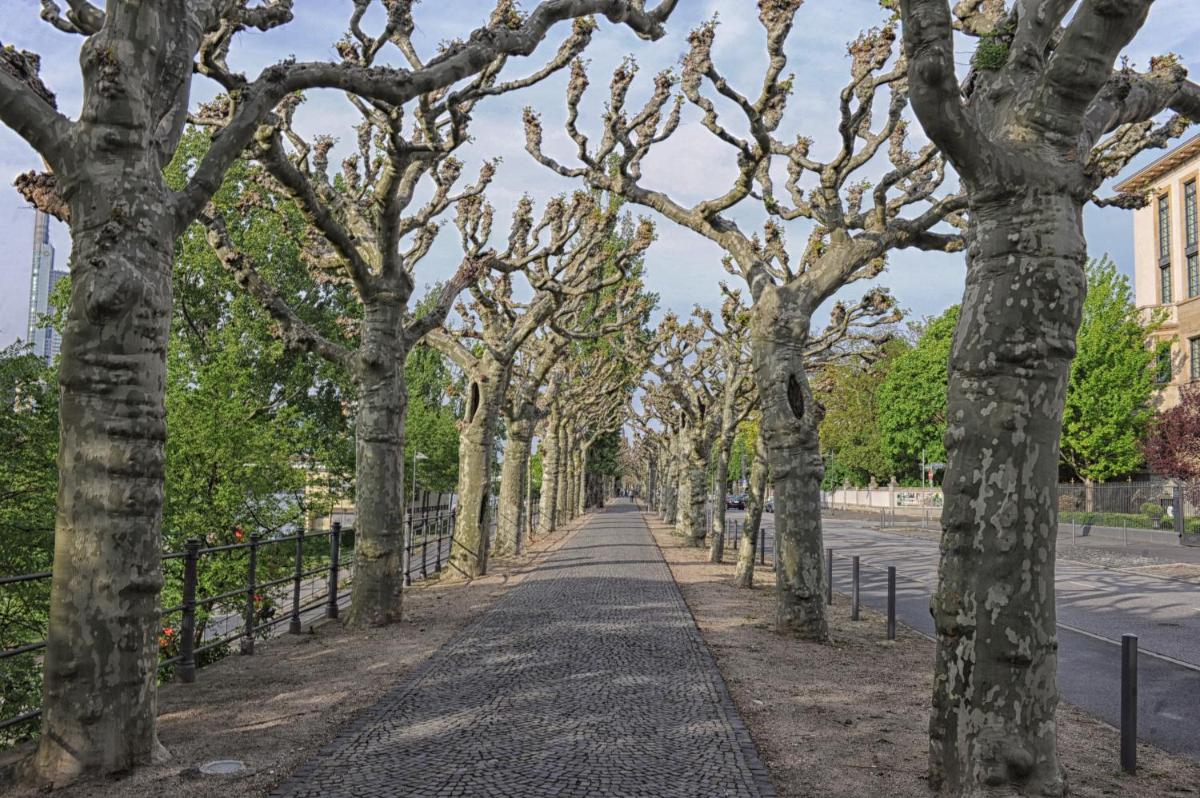 Rocco Forte Villa Kennedy