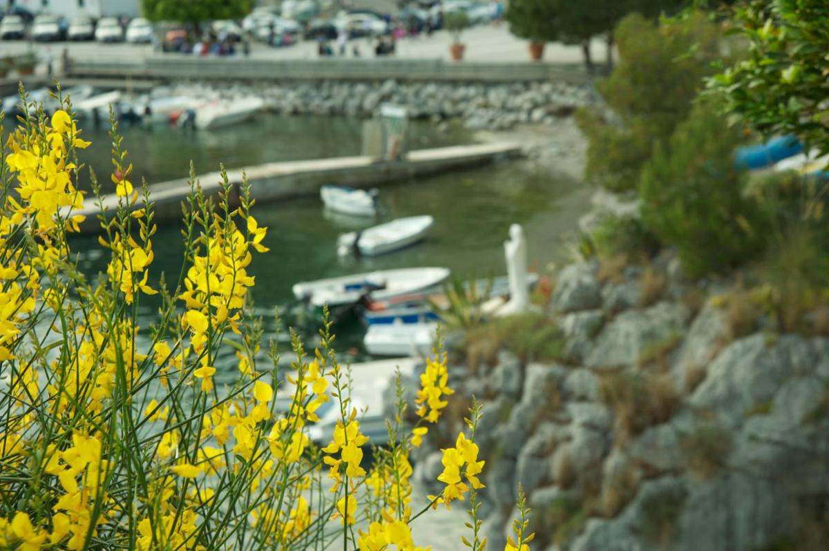 Romantic Hotel & Restaurant Villa Cheta Elite