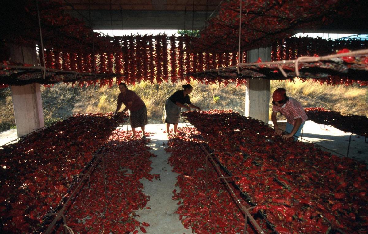 Romantic Hotel & Restaurant Villa Cheta Elite