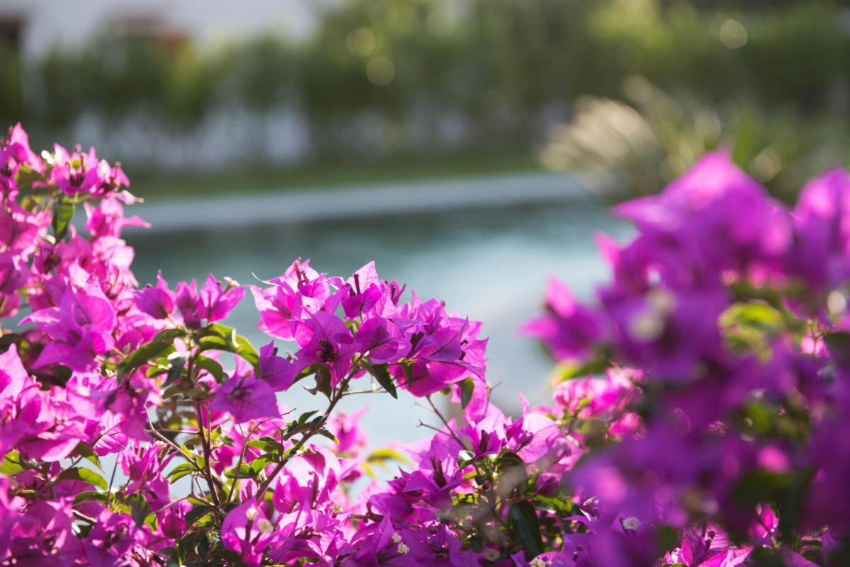 Romantic Hotel & Restaurant Villa Cheta Elite