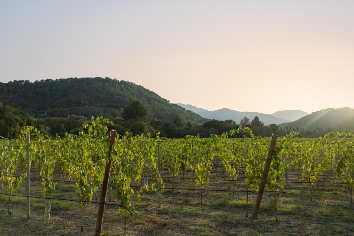 Rondaia, a Winery & Fincahotel-Agroturismo in Tramuntana