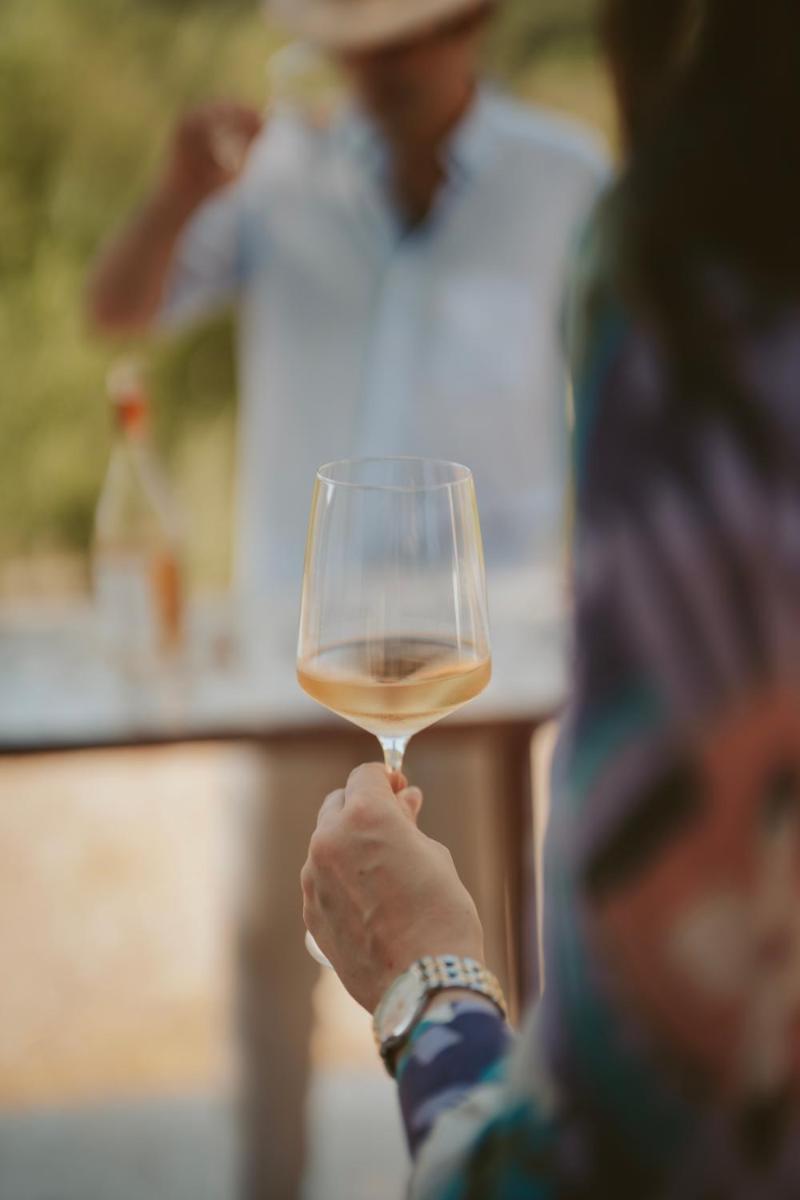 Rondaia, a Winery & Fincahotel-Agroturismo in Tramuntana