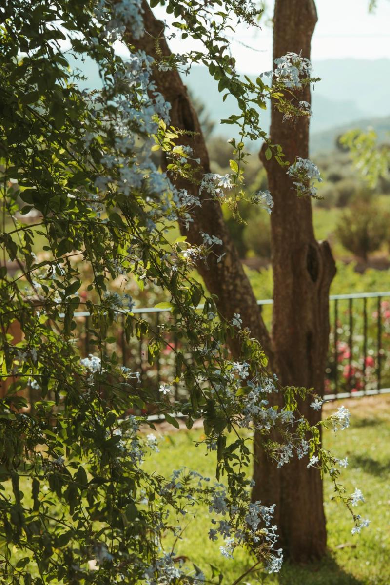 Rondaia, a Winery & Fincahotel-Agroturismo in Tramuntana