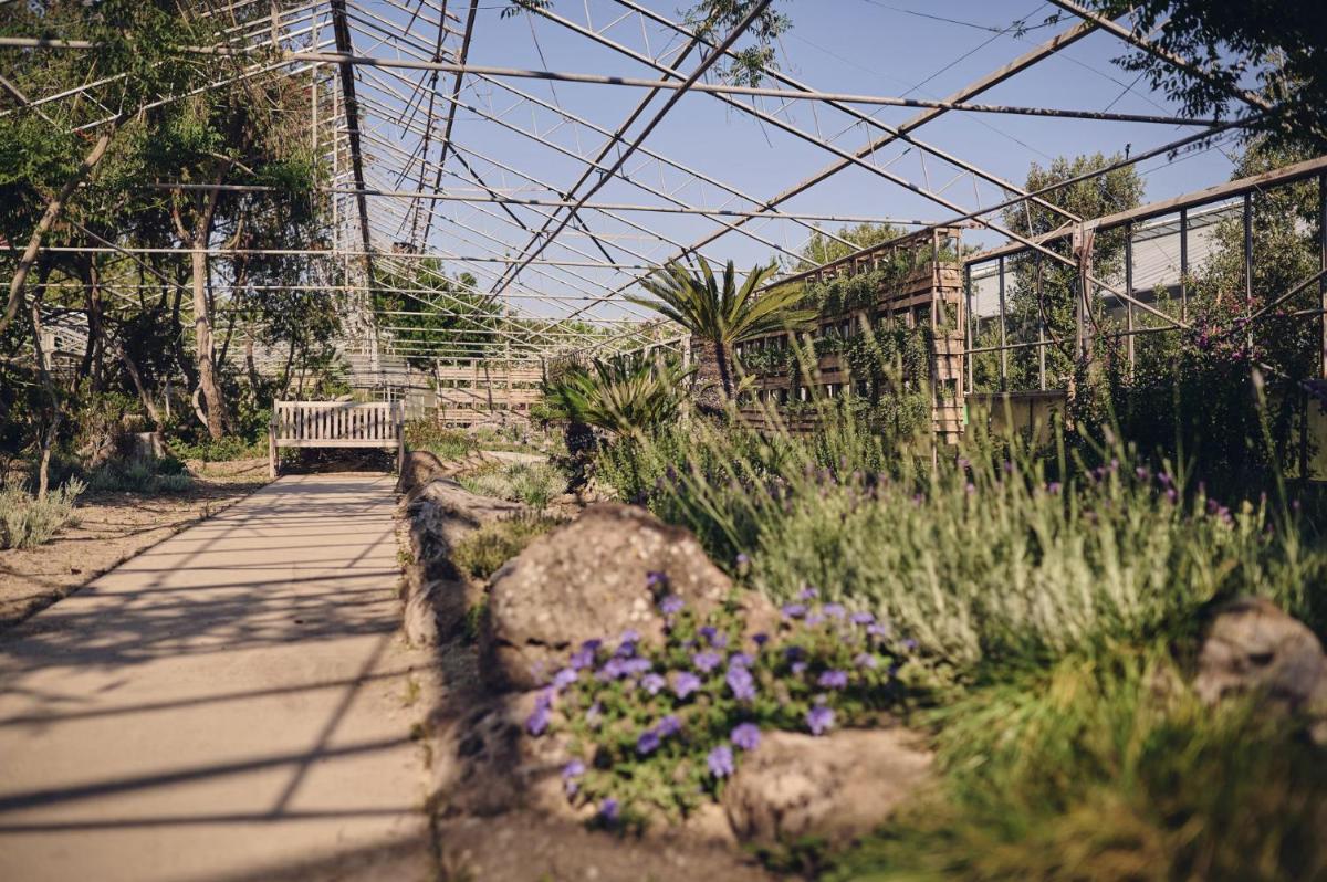 Ros'e Mari Green Home Hotel