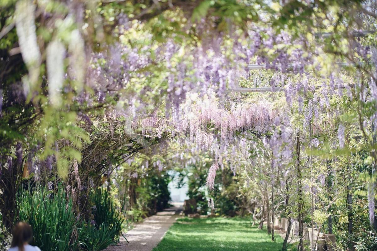 Ros'e Mari Green Home Hotel