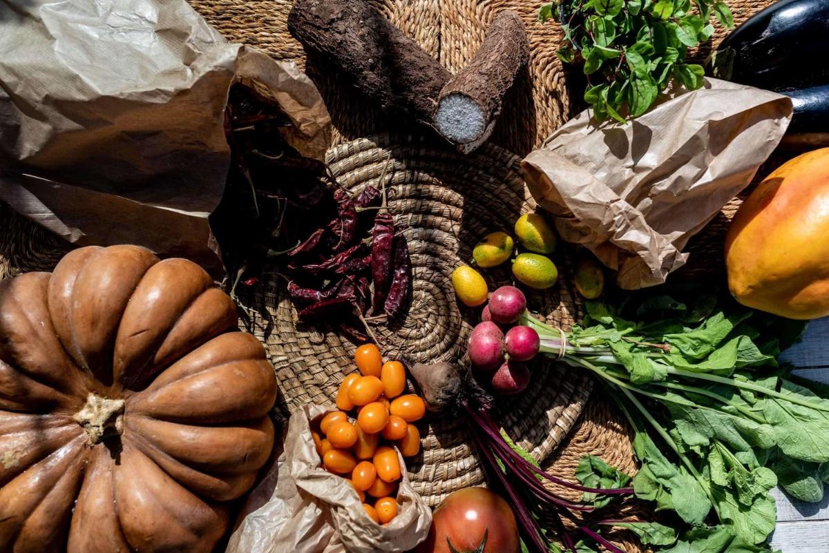 Royal Hideaway Corales Beach - Adults Only