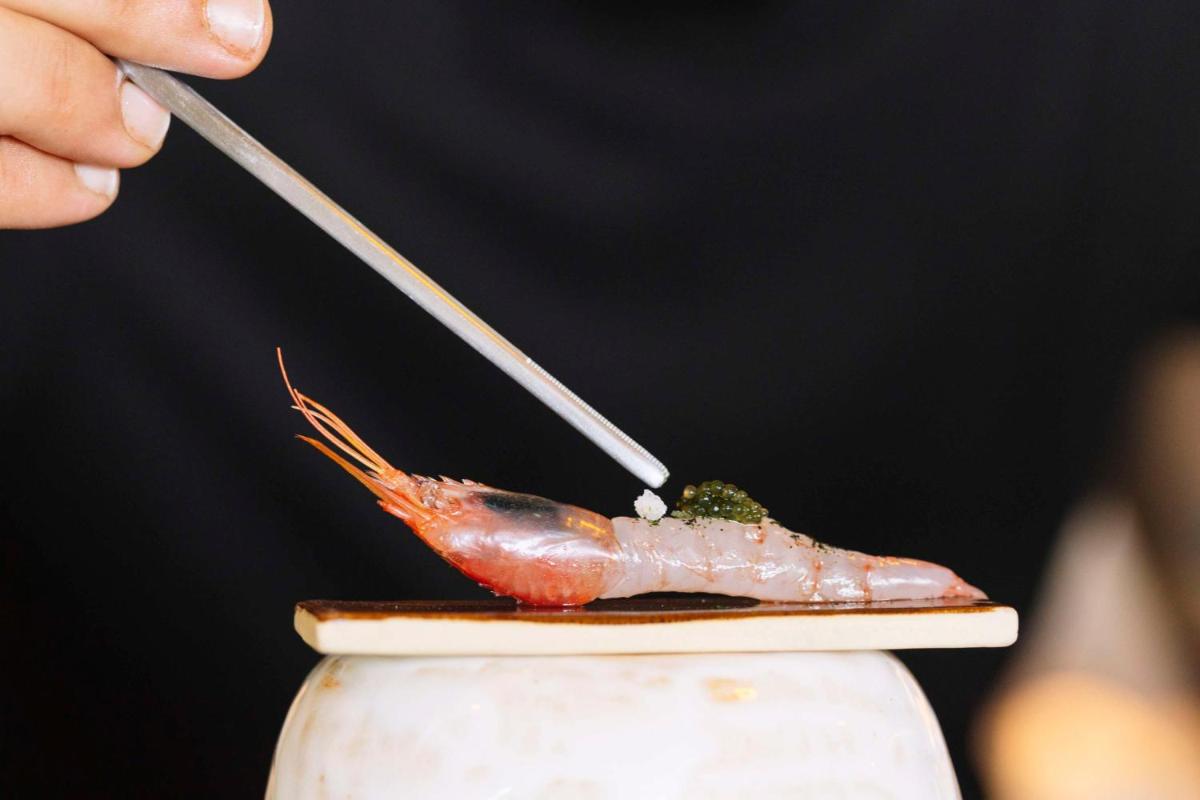 Royal Hideaway Corales Suites