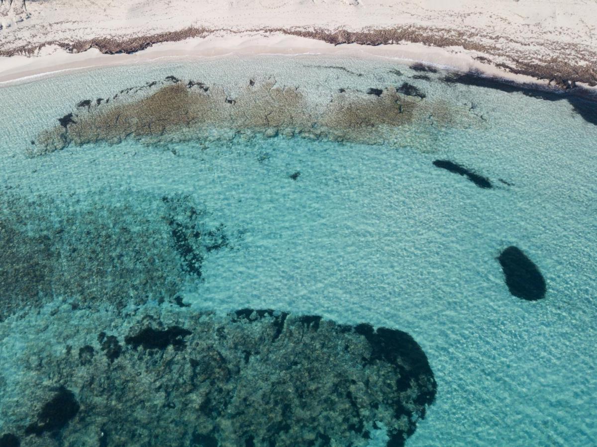 Sa Pedrera Suites & Spa