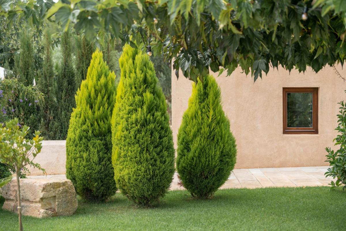 Agroturismo Safragell Ibiza Suites & Spa