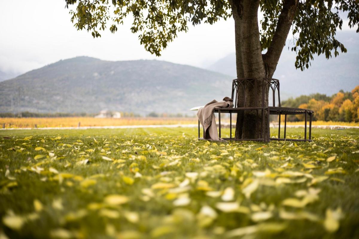 San Calisto camere con vigna