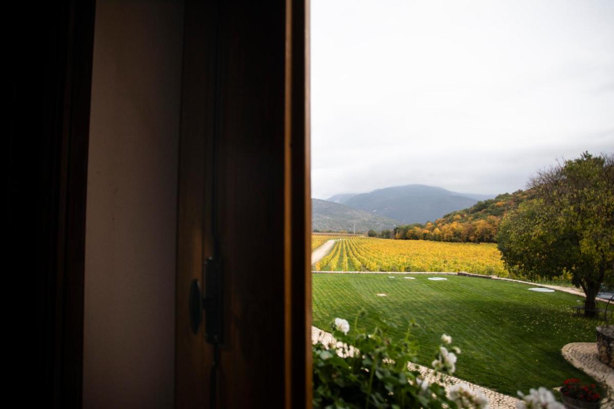San Calisto camere con vigna