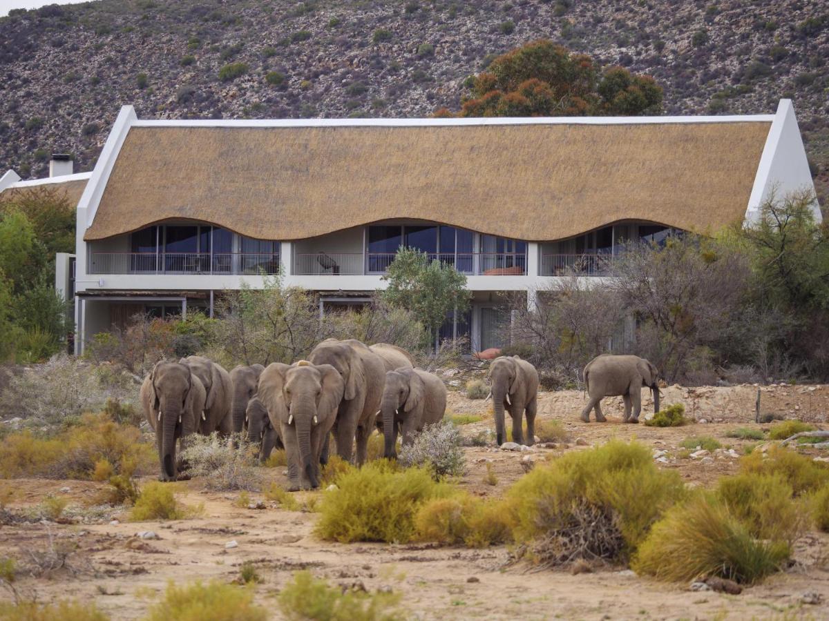 Sanbona Wildlife Reserve