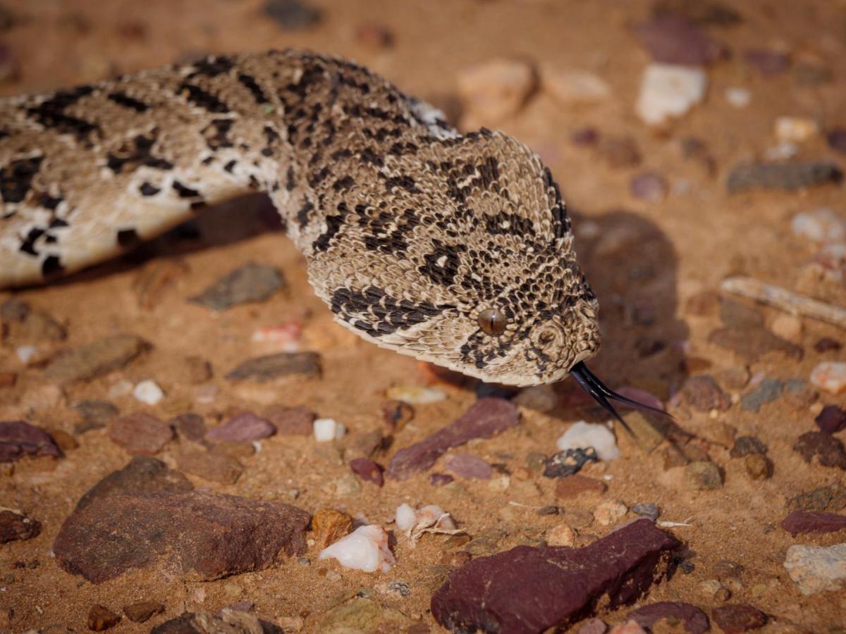 Sanbona Wildlife Reserve