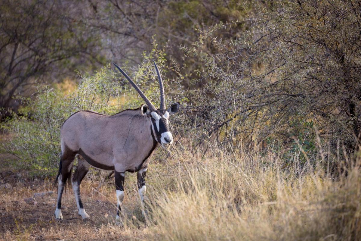 Sanbona Wildlife Reserve