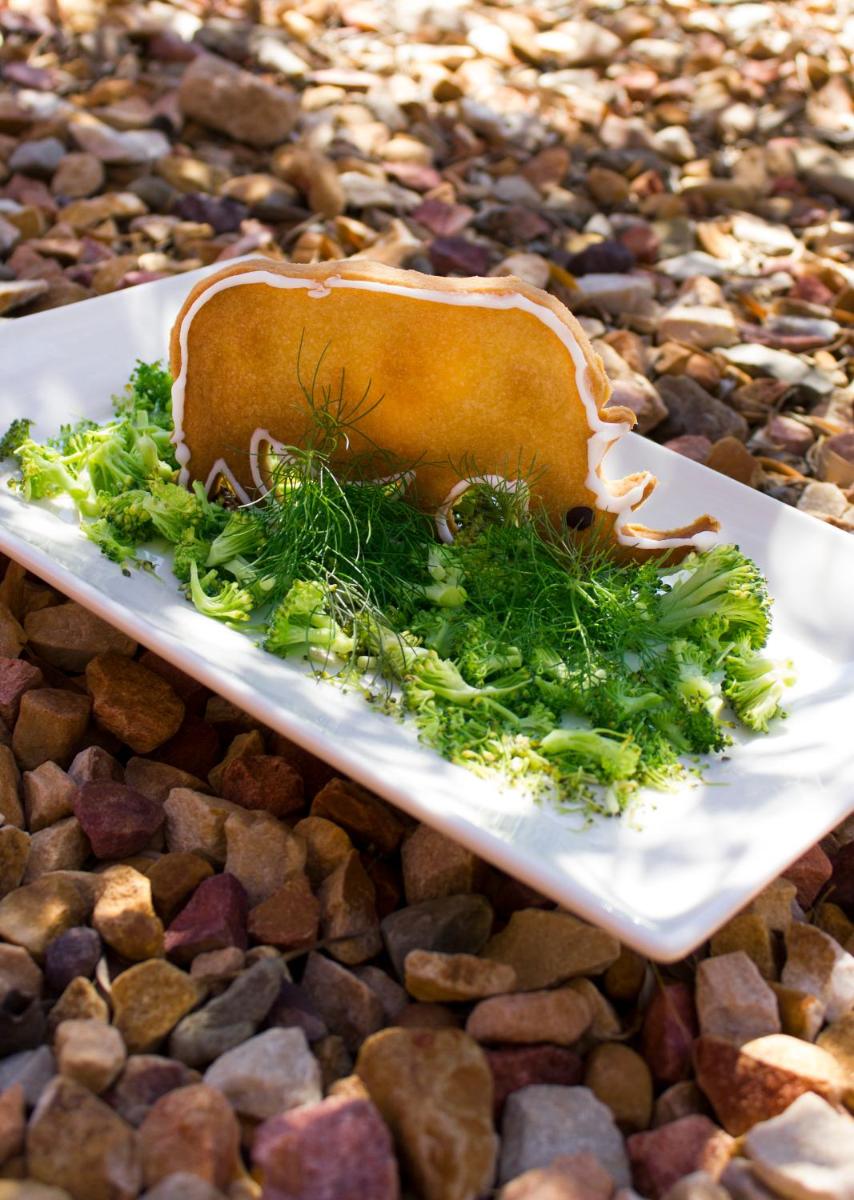 Sanbona Wildlife Reserve