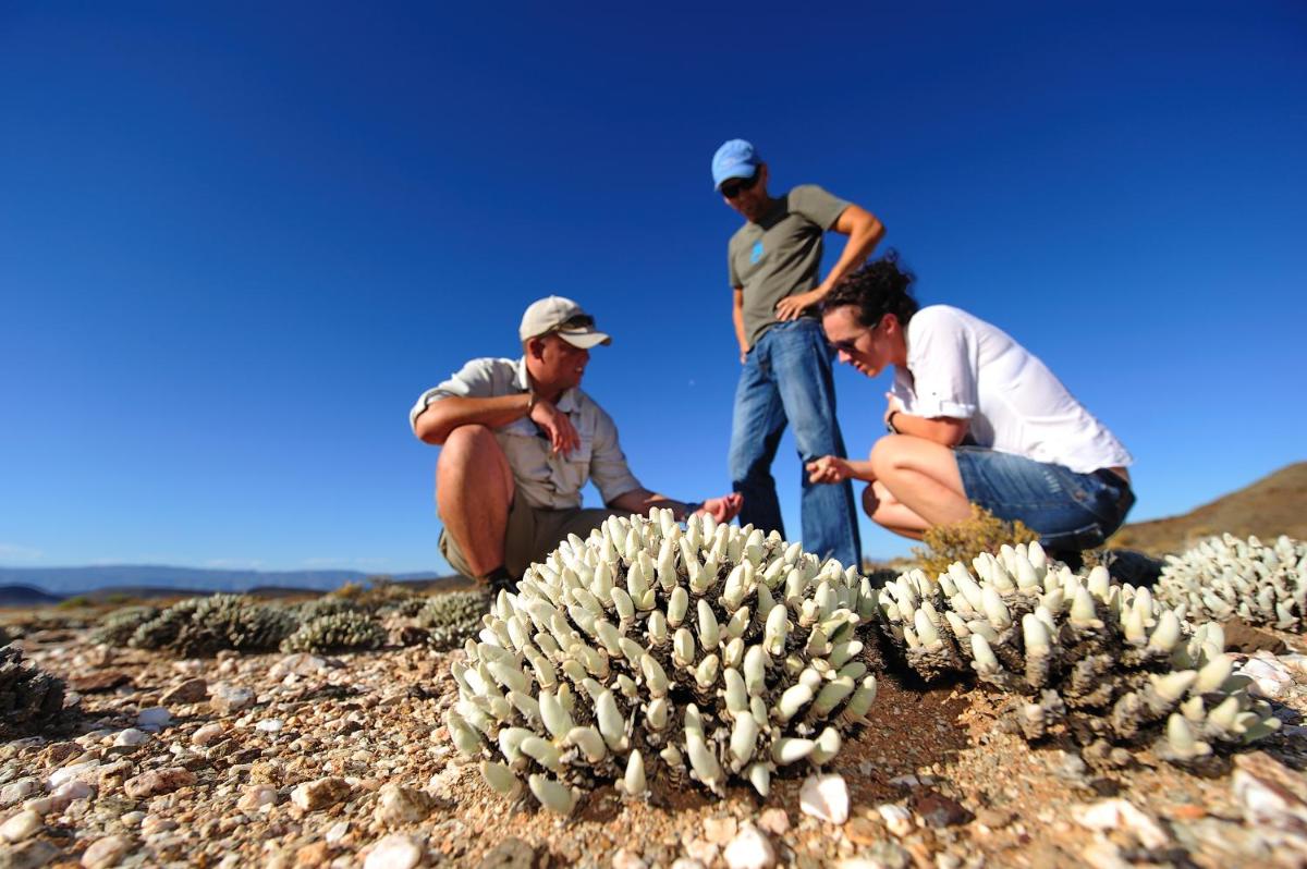 Sanbona Wildlife Reserve