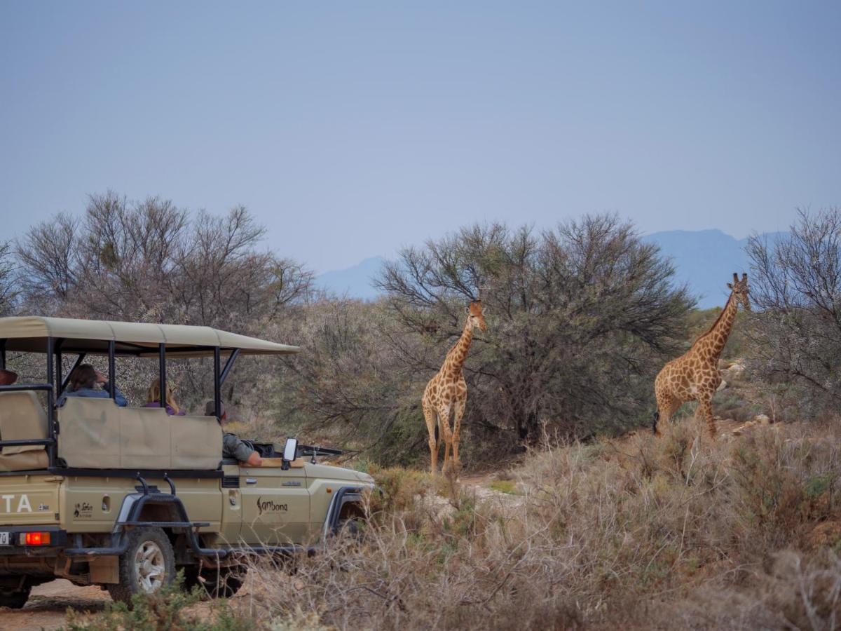 Sanbona Wildlife Reserve