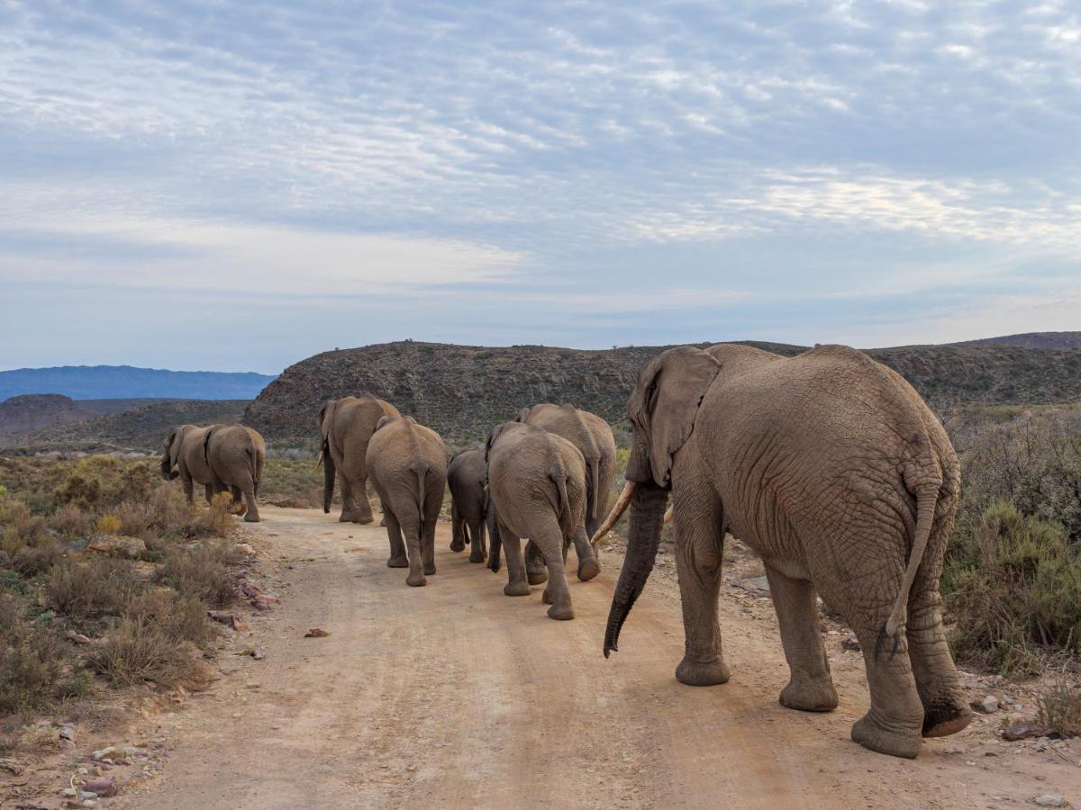 Sanbona Wildlife Reserve