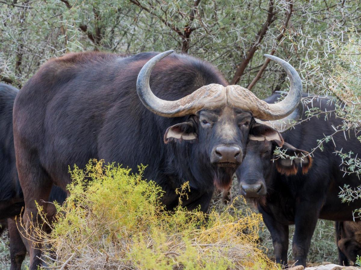 Sanbona Wildlife Reserve