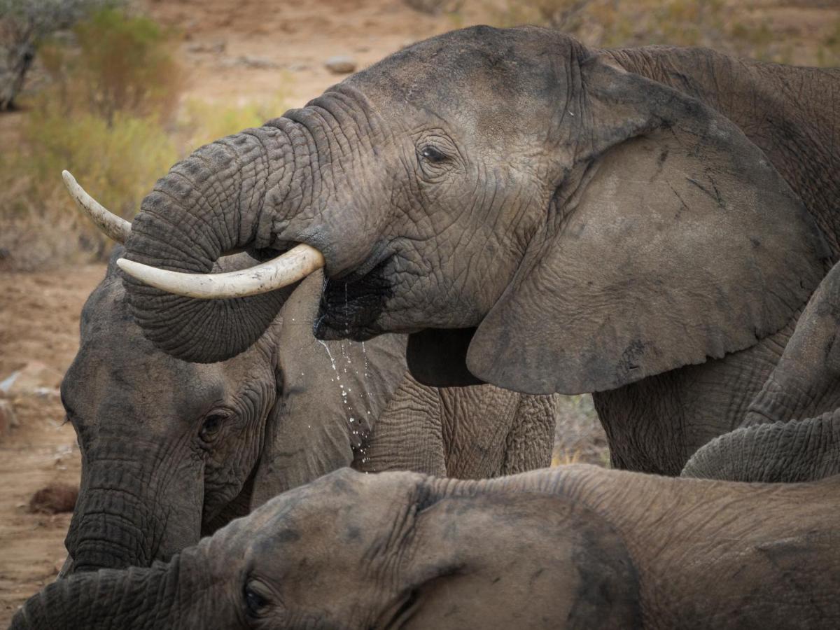 Sanbona Wildlife Reserve