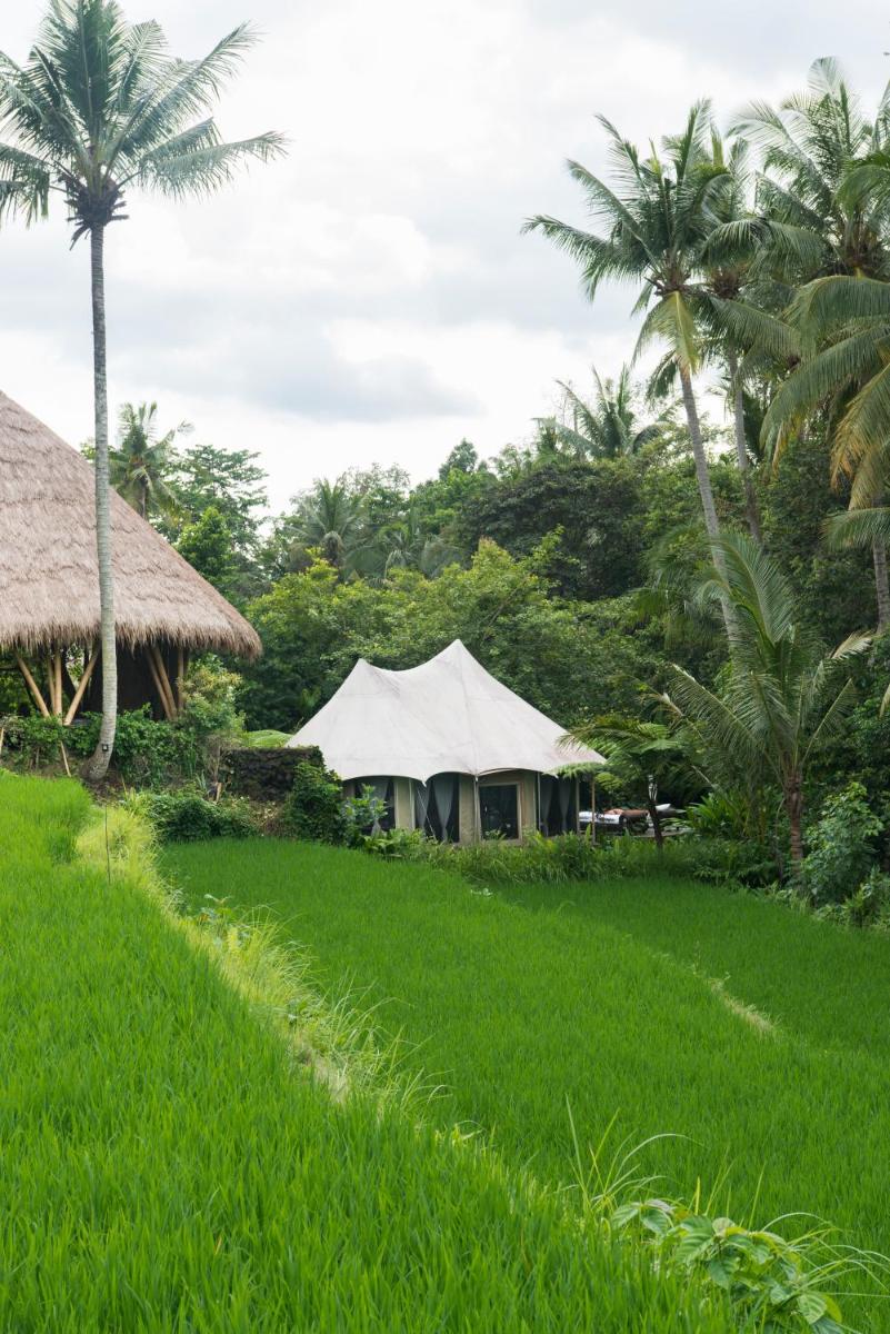 Sandat Glamping Tents