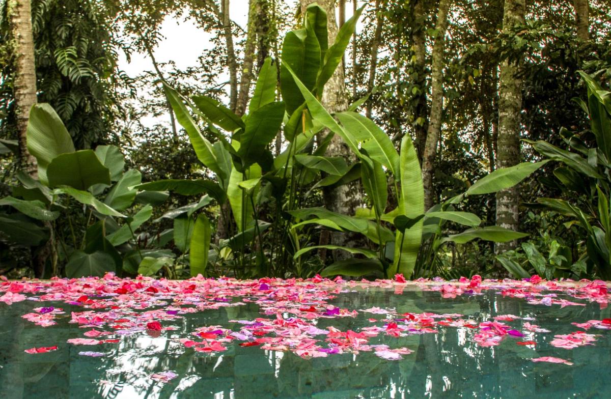 Sandat Glamping Tents