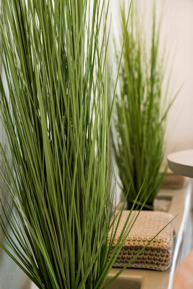 Sandaya Luxury Suites