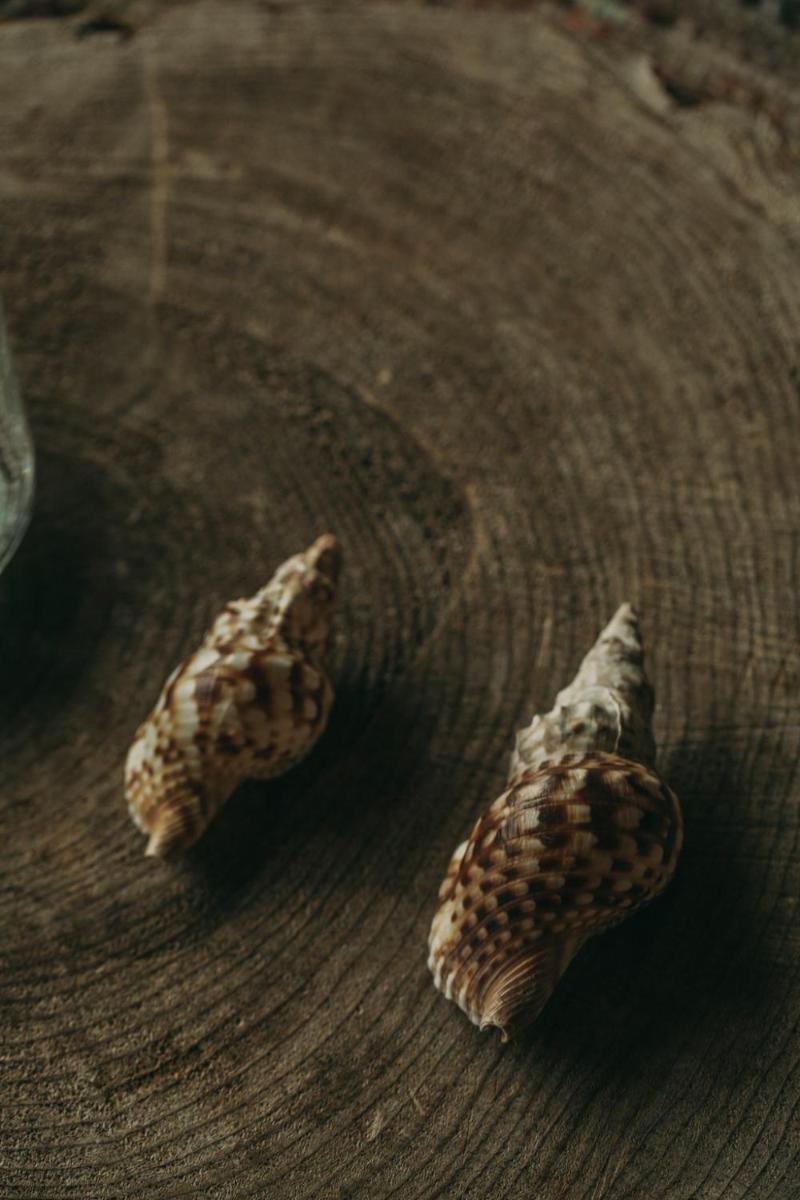 Santa Barbara Eco-Beach Resort