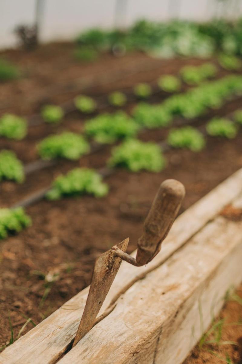 Santa Barbara Eco-Beach Resort