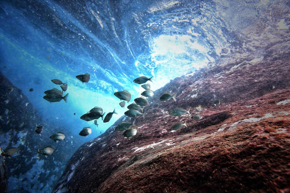 Santa Barbara Eco-Beach Resort