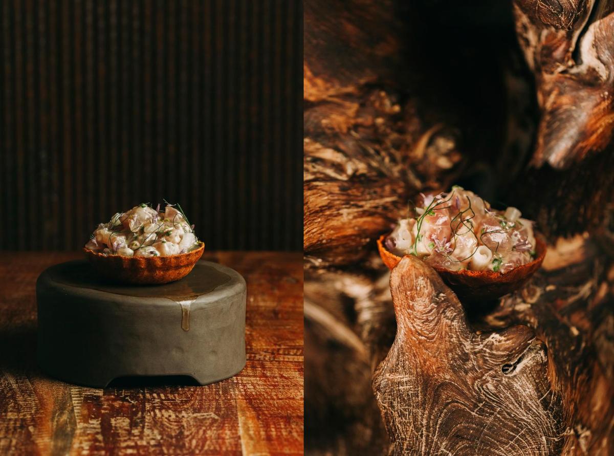 Santa Barbara Eco-Beach Resort